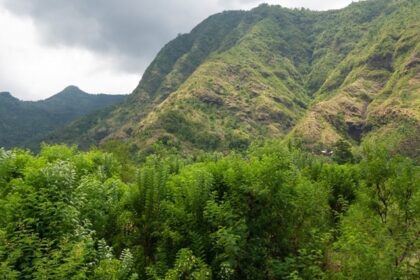 Beautiful image of the mount seraya and its forest for Paragliding Bali adventure