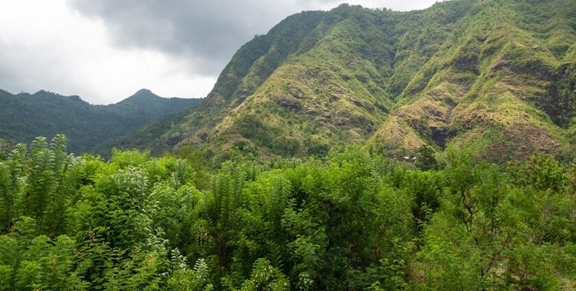 Beautiful image of the mount seraya and its forest for Paragliding Bali adventure