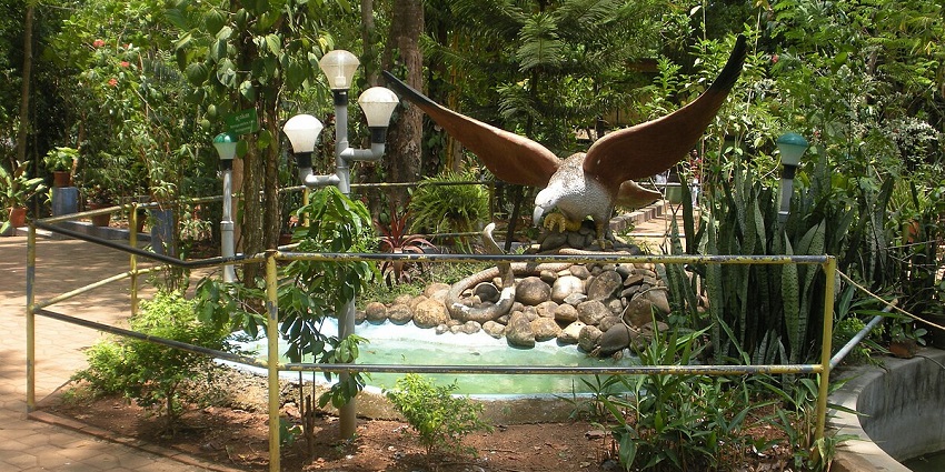 Parassinikkadavu Snake Park is one of the best places to visit around the temple.