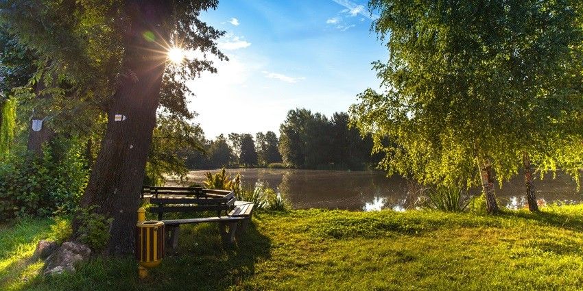 Tranquil body of water encircled by dense trees, reflecting the lush greenery.