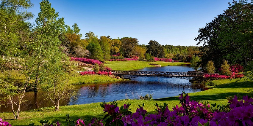 Park view with well-maintained lawns, walking paths, and greenery, offering a serene view.