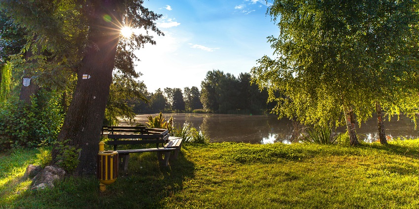 Body of water surrounded by trees, with calm, reflective waters framed by lush foliage.
