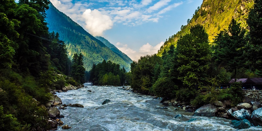 A glimpse of a gushing river flowing at the Parvati Valley surrounded by lush greenery.