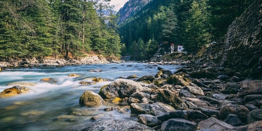A serene river flows through a lush green forest under a clear blue sky during the day.