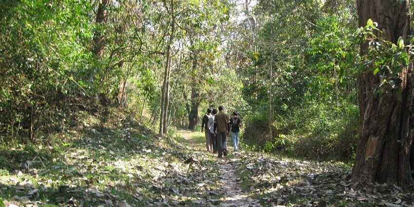 Trekking is one of the best activities that you can enjoy during your visit to this place.