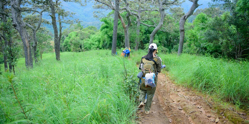 People walking on a scenic trail, surrounded by natural beauty and lush greenery.