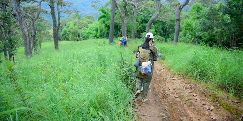 People walking on a scenic trail, surrounded by lush greenery and a peaceful environment.