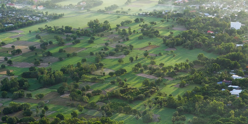Peren has a national park that houses a plethora of trees like bamboo, mahogany, and palm.