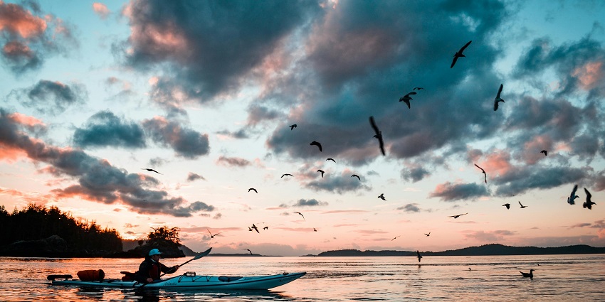 Silhouette of a woman riding a kayak of the sea, capturing a tranquil moment on the water.