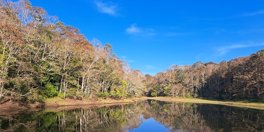 Witness diverse flora & fauna at the Pеriyar Lakе & Wildlifе Sanctuary in Kerala