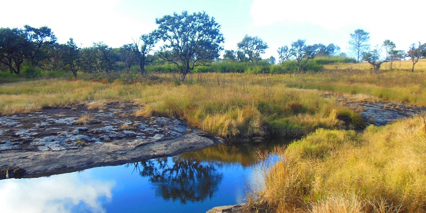 Visit the popular Phawngpui Blue Mountain National Park on your next trip to Mizoram.