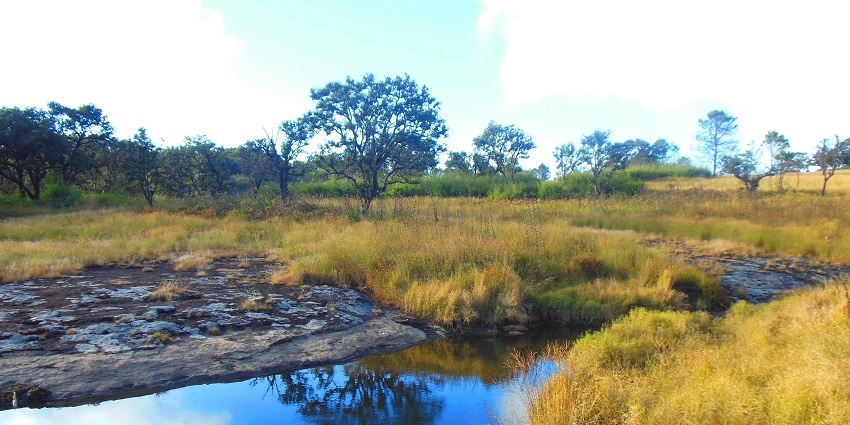 Beautiful image of the Phawngpui Blue Mountain Park surrounded by the beautiful forest