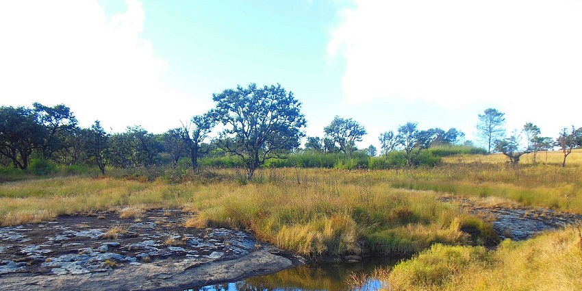 A breathtaking view of Phawngpui National Park with a lake at the centre during the day.