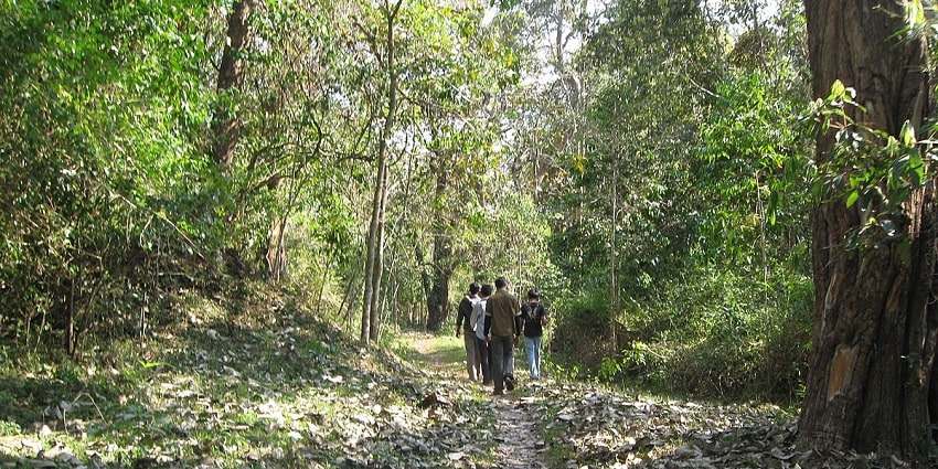 Phawngpui Tlang, also referred to as the Blue Mountain, is the best place for trekkers.
