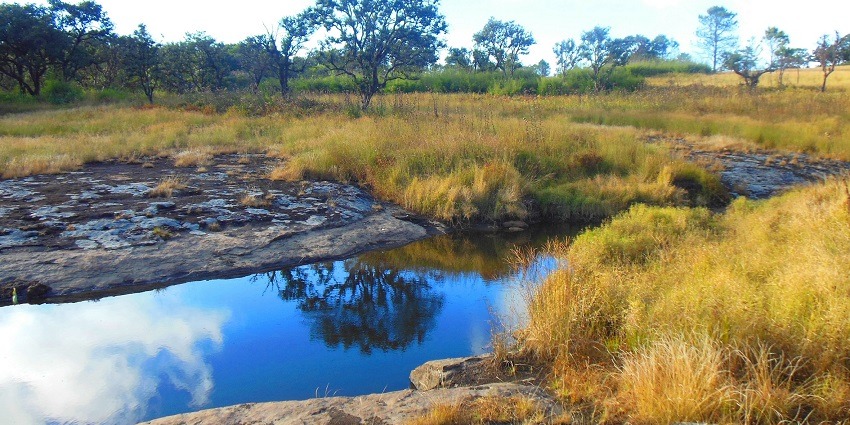 This national park is one of the most popular because of the famous blue mountain