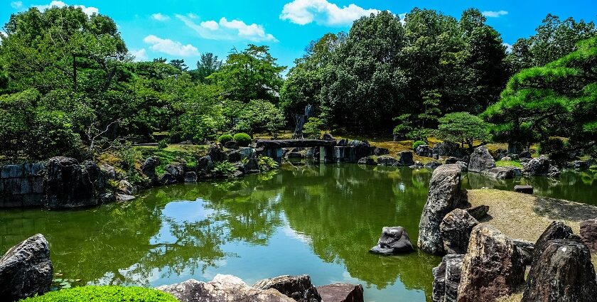 A scenic view of a park covered with verdant grasses, lush green trees, and flowers.