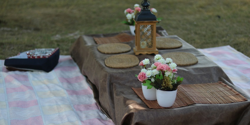 A scenic view of a picnic being conducted near the verdant banks of the falls.