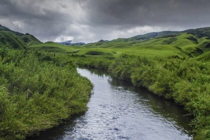 Dzukou, with its blooming valleys, is one the most enchanting hill stations in Nagaland