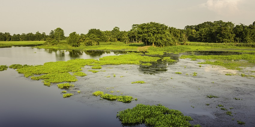 This islands offers an ideal escape for tourists away from the bustling city life