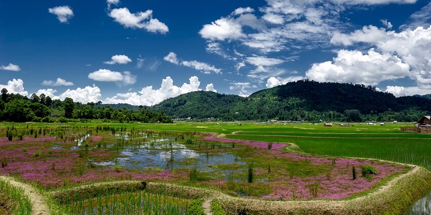 Scenic Snapshot of the beautiful town of the Ziro Valley—Places to visit in Ziro