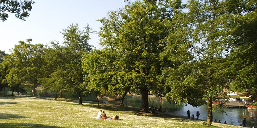 A picture of a park near the Itanagar Zoo with people enjoying picnics and outings