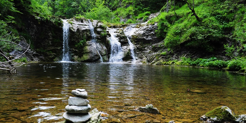 Serene pond with a gentle waterfall cascading into it, surrounded by lush greenery.