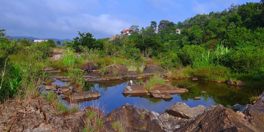 Tourist can witness the park with utmost beauty in winter months as the temperature is favourable