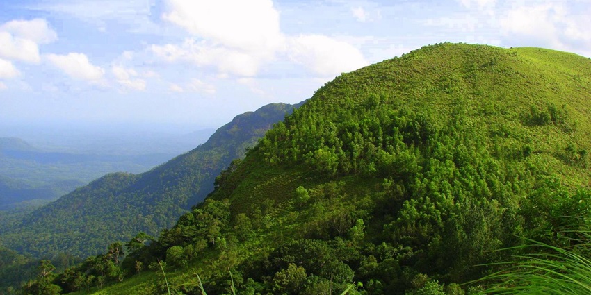 Misty forests atop the Ponmudi Hill Station are a perfect spot for walks and hikes