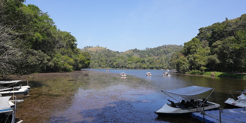 Pookode Lake is one of the best places to explore around Ilanjippara Waterfalls.