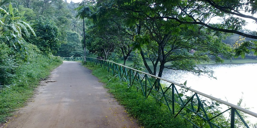 Poomala Dam & Reservoir is a scenic picnic spot near Thrissur with boating and lush greenery.