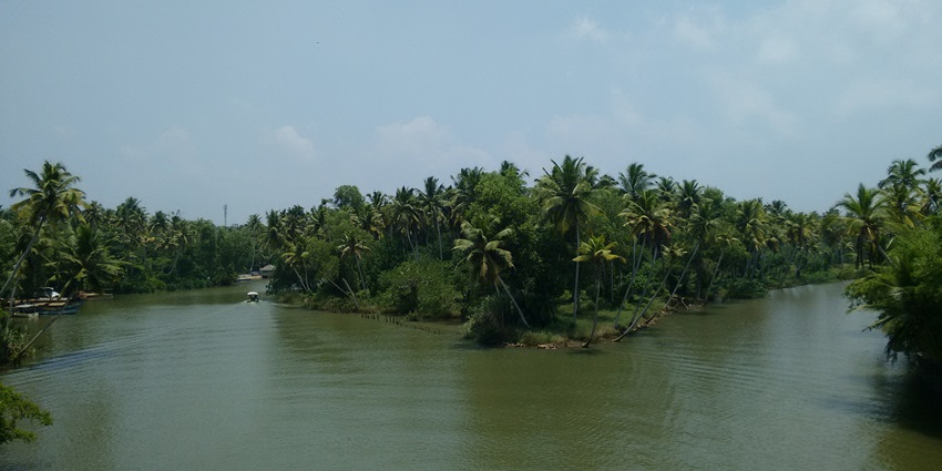 The scenic palm trees of Poovar Island are a sight to behold with their pristine beaches