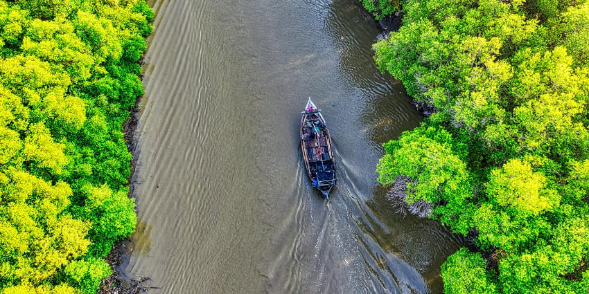 Scenic aerial view of the mangrove forests, one of the places to visit in Poovar for nature lovers