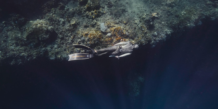 A picture of a person diving underwater and exploring the corals and marine life