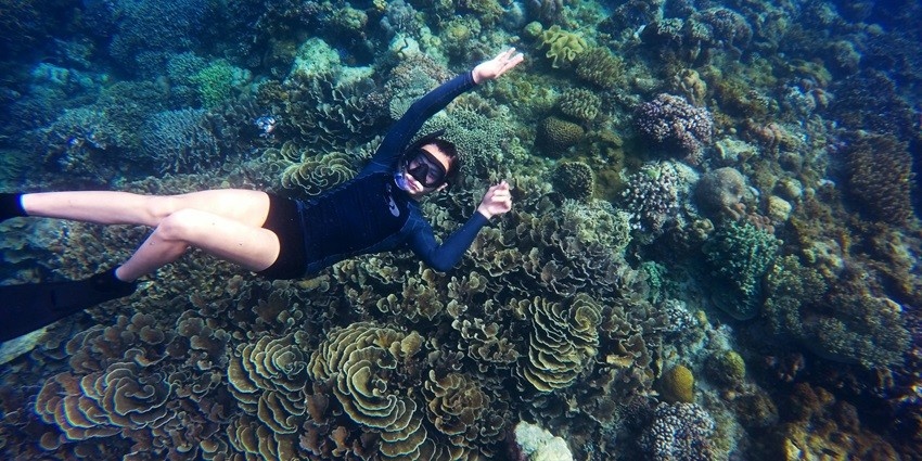 A picture of a woman snorkelling over reefs and sea plants