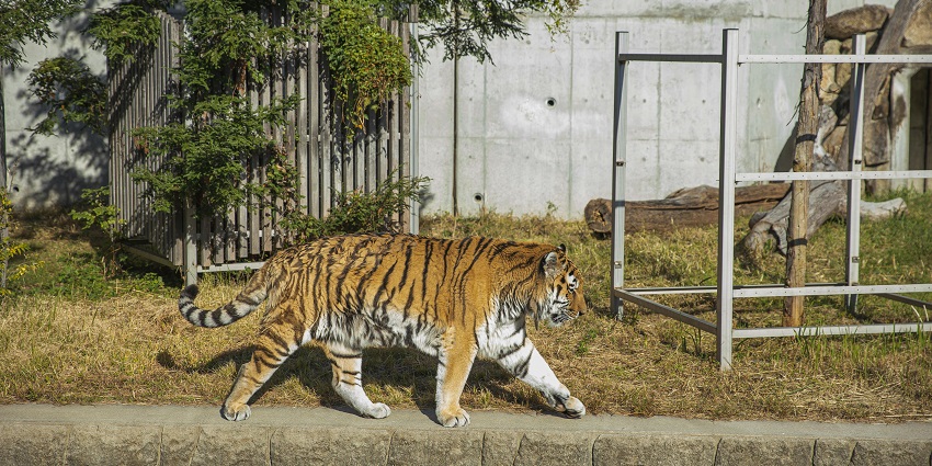 This wildlife sanctuary, with a wide array of wildlife, is an apt location for relaxation and entertainment.