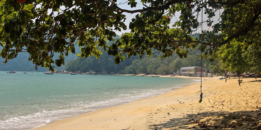 Beach-side view of an island from under a tree.