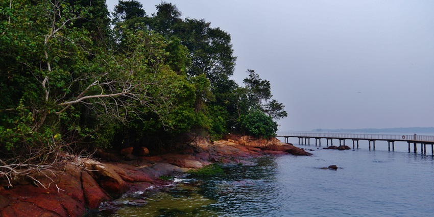Image of Chek Jawa auf Pulau Ubin, Singapore - one of the hiking spot in Singapore