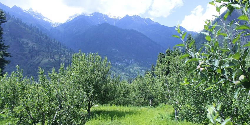 Explore alluring natural scenery at Pulga Village, one of the places to visit near Kasol