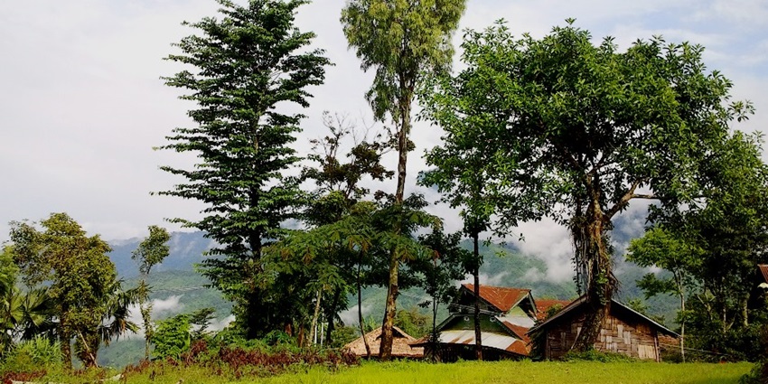 Image of the beautiful entrance gate of the Kohima Village—Places to visit in Kohima