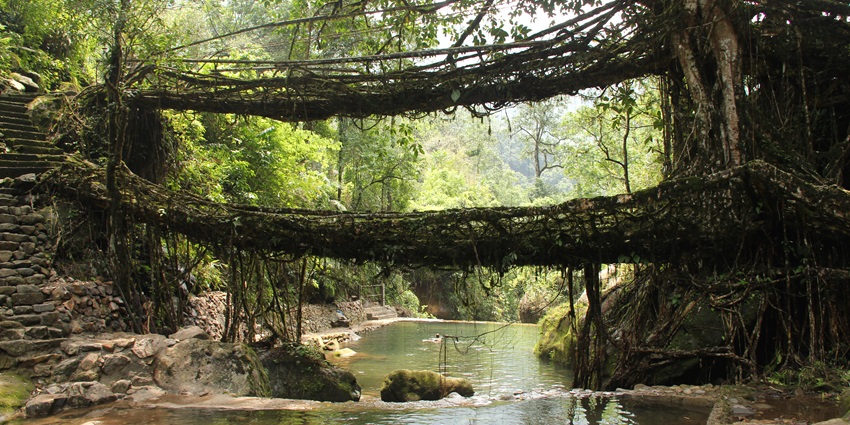 Pynursla is among the top ten valleys in Meghalaya which is a must-visit destination.