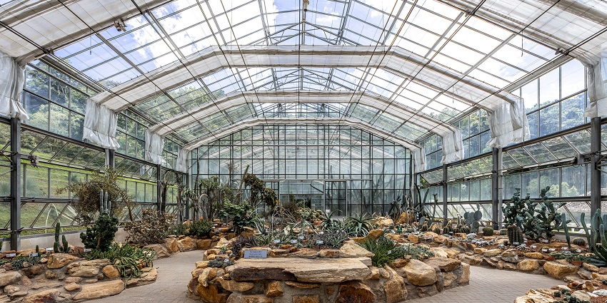 The glass complex at Queen Sirikit Botanic Garden, is a thing to do in Chiang Mai.