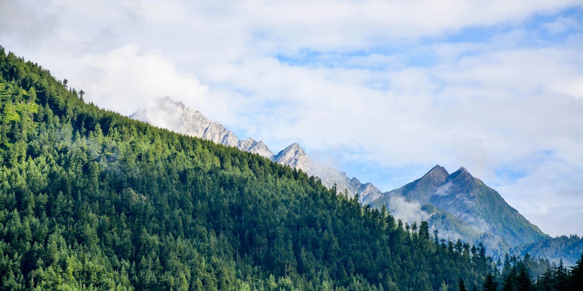 Clear view of the himalayan mountain surrounded by the green lush forest and wildlife