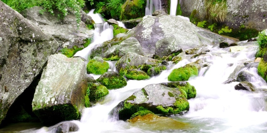 Picturesque view of silver water cascading down the rocks amidst lush vegetation