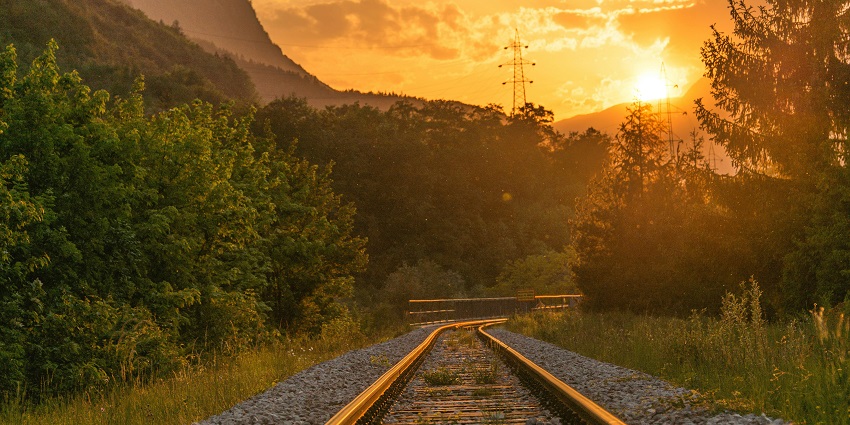 A train track runs through lush greenery, surrounded by tall trees under a clear sky.