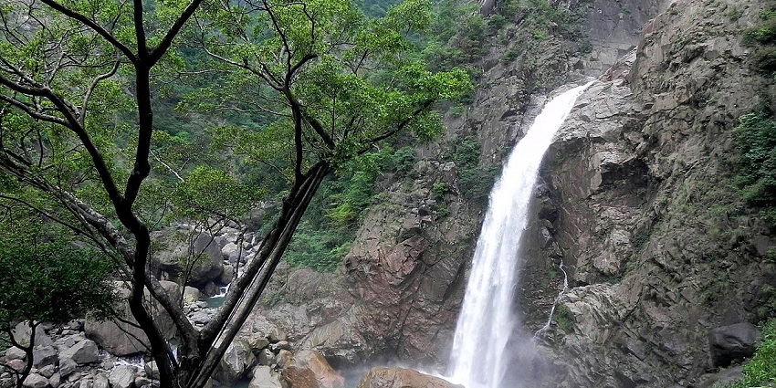A stunning view of the majestic rainbow falls between a lush green forest during the day.