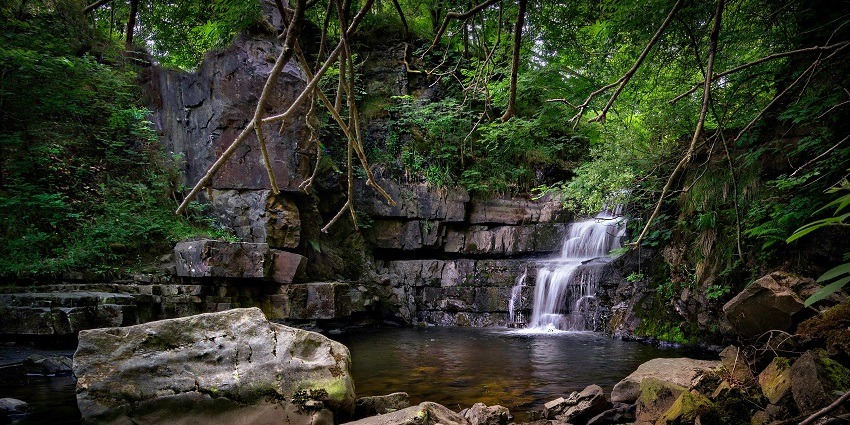 A mesmerising view of waters pouring and joining a tranquil stream in Andhra Pradesh.