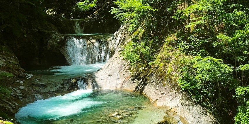 A quaint view of water dripping down amidst the lush green vegetation at Rana Jilleda.