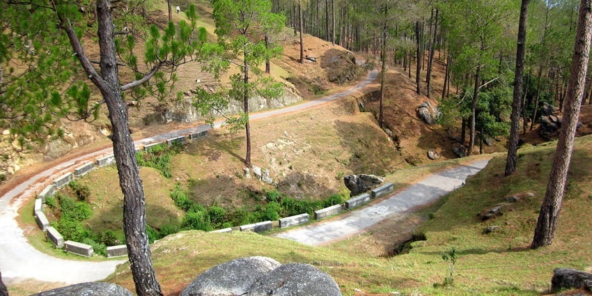 Scenic view of Sarna Garden road in Ranikhet, surrounded by lush greenery.