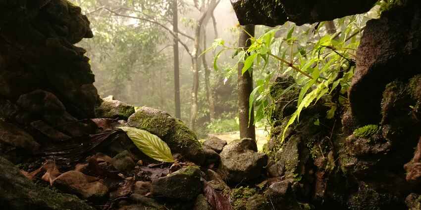 Snapshot of the beautiful Mawsmi Caves of Meghalaya–offbeat places in Meghalaya