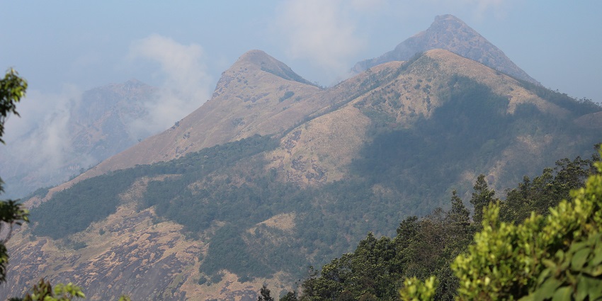 Explore the lush green natural landscapes of Ranipuram, near the Malom Wildlife Sanctuary.
